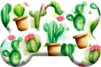 Cactus_04